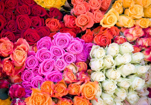 Is it cheaper to buy flowers from a wholesaler?